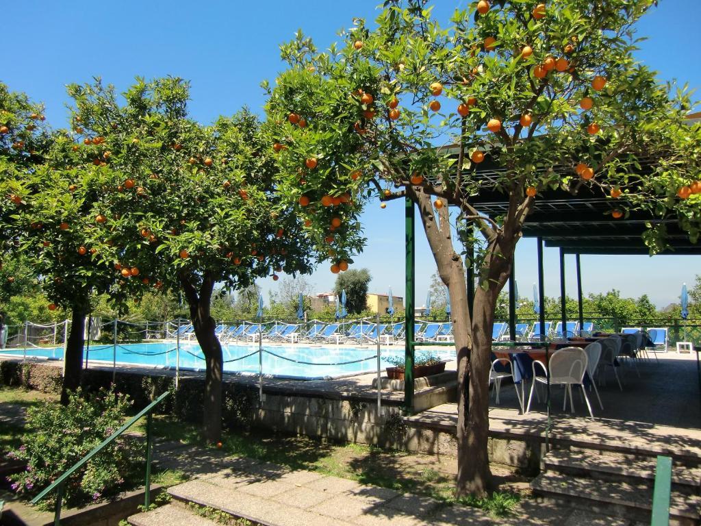Hotel Girasole Sorrento Eksteriør billede